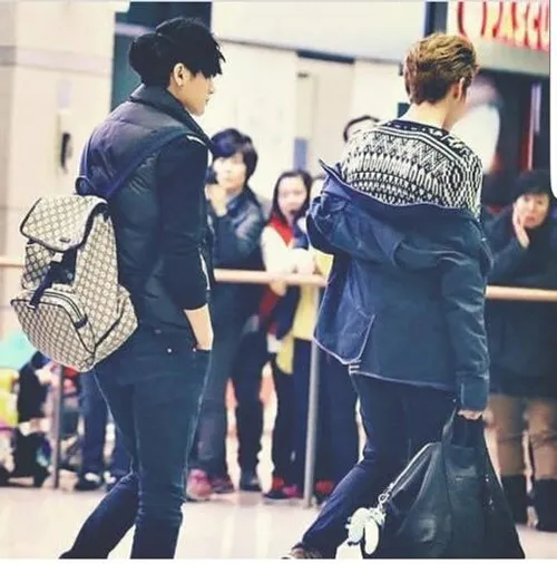 taoris