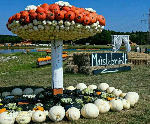 جشنواره کدو تنبل در آلمان‎ 🎃