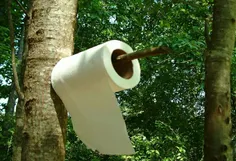 روزانه بیش از ۲۷۰۰۰ هزار درخت تنها برای تولید دستمال توال