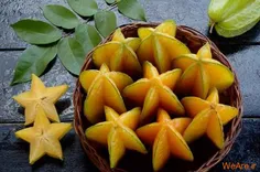 میوه ستاره ای معروف به Carambola
