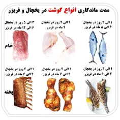 مدت ماندگاری انواع گوشت در یخچال و فریزر 
