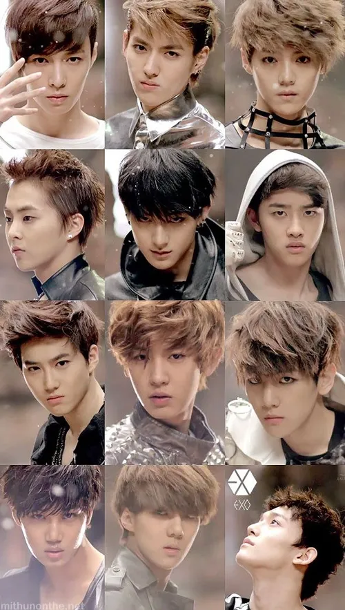 exo ot12