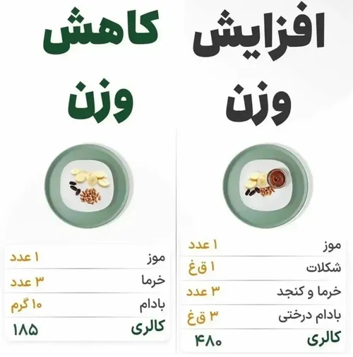 کدومو انتخاب میکنی؟