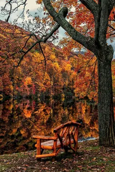 از پاییز همین یک صندلیِ دو نفره‌یِ چوبی ما را بس، که رها 