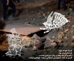 بدون شرح 