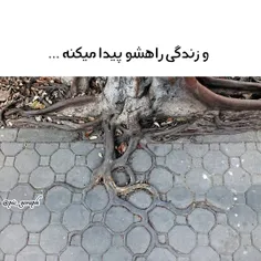 #خلاقیت_عکس_نوشته