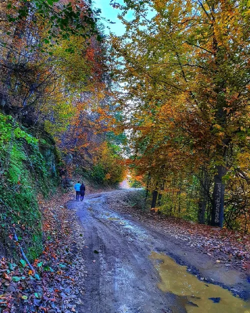 با دستهای خالی به دنیا آمده ایم