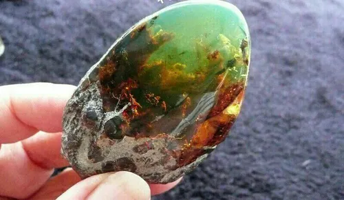 قطعه ی زیبای کهربای سبز، یافته شده در جمهوری دومینیکن