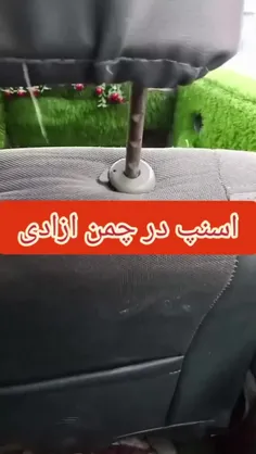 اسن اسنپه یا زمین چمن؟😅😅