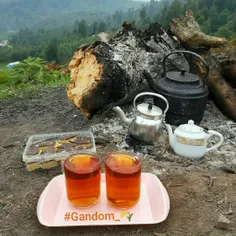 #Gandom_🌾