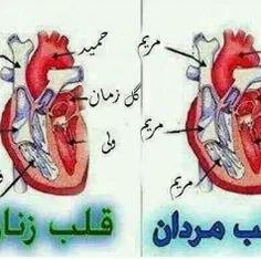 چقد پسرا ساده هستن؟؟؟؟؟