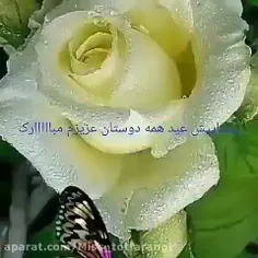 عیدمبارک مولای من