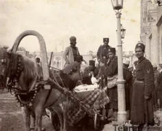 درشکه حمل پول در میدان توپخانه – حوالی سال ۱۲۹۰