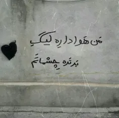 دیدی چی شد دلبر؟...