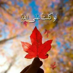 " بر خدا #توکل کن "