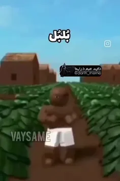 بلبل