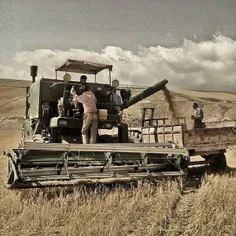 Farmers at harvest time. #Korang, #Semnan, #Iran. Photo b