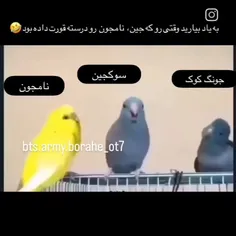 واییی مردم 