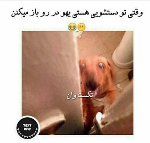 خخخ