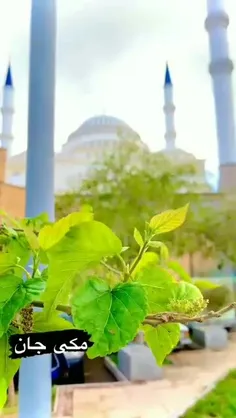 مسجد جامع مکی❤❤