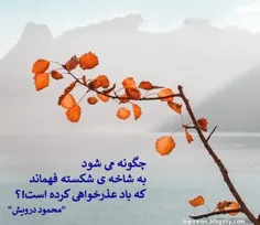چگونه میشود 