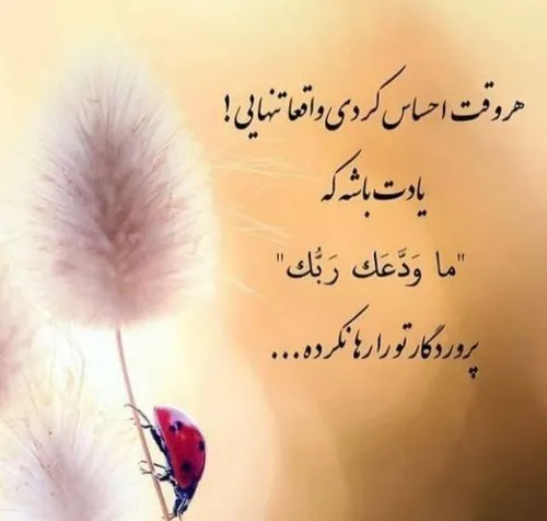 عکس نوشته