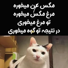 شنیده شده علت مرگ انیشتن بخاطر این عکس بوده..... 🤣