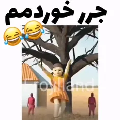 شت دارک شد