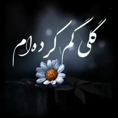 به یاد عزیزان اسمانیم ...حسن وحسینم عزیزای دلم روحتان در 