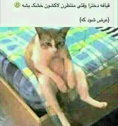 خخخخخ