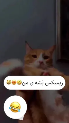 فداش بشمه منههه