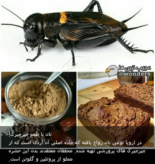 به به 😍😋😋معلومه خیلی خوشمزه ست...