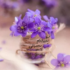 🌸هر روز ساعت دلم را عقب میکشم،