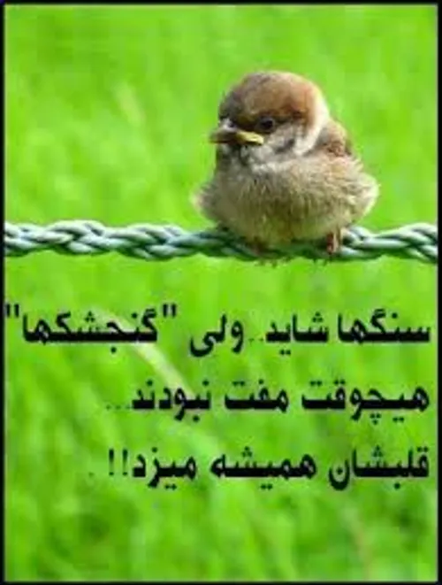 ای جونم