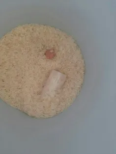 سلام میخواستم برنج بردارم دیدم یه دست کوچیک تو سطل برنجه😭