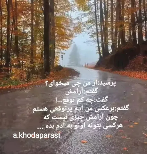  a.khodaparast 45963805 - عکس ویسگون