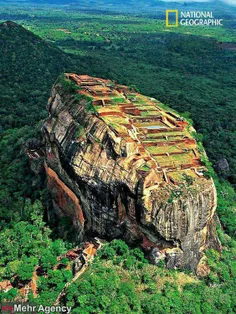 📸  مزرعه‌ای زیبا بر روی صخره‌ای بزرگ در سریلانکا