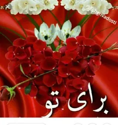 #نکته_های_اورژانسی #سلامت_روان_ازدواج_پایدار حال بهتری خواهیم داشت اگر دست برداریم از فردی که لیاقت