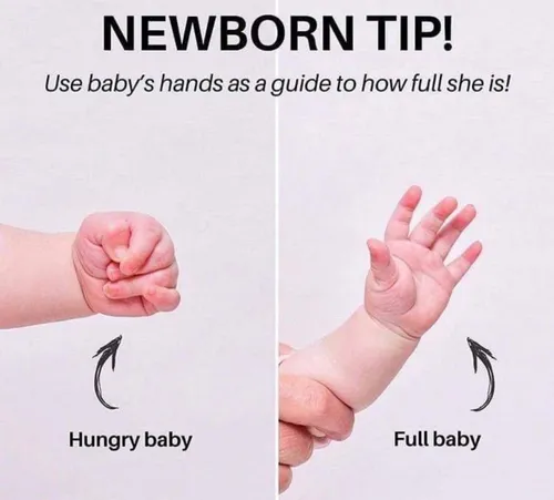 گفته میشود از روی حالت دست نوزادان میتوان فهمید که گرسنه 