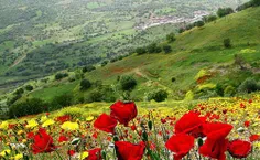 بهار کردستان