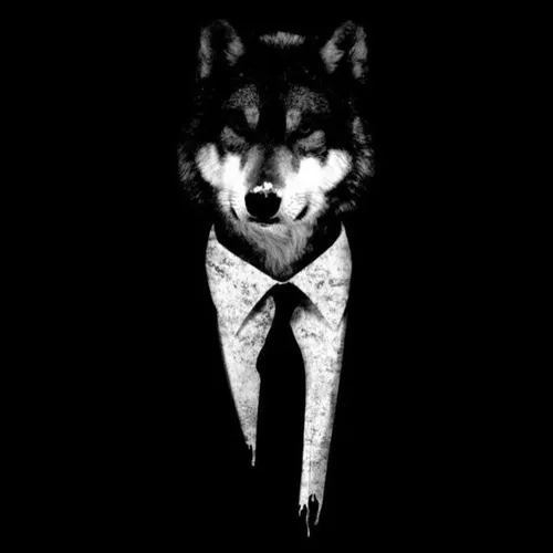 ببین انقدر گرگ گرگ نکن هر چقدرم گرگ باشی ی گرگ دیگه میاد 