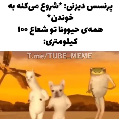 حق😂