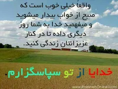 به قلبم نشستی نگفتم چرا