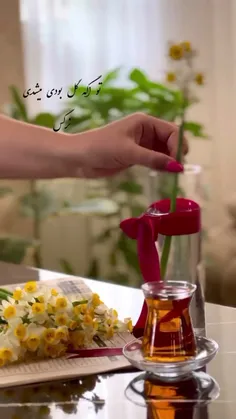 سلام شب تون بخیر عید تون مبارک 