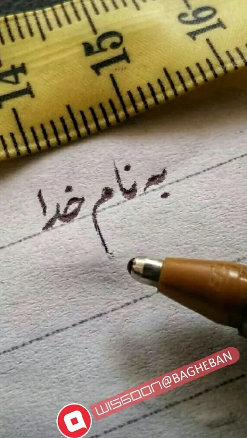 غنچه یاس کبود