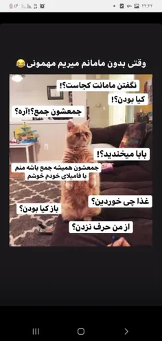 دقیقا همینجوریه نه😂😂