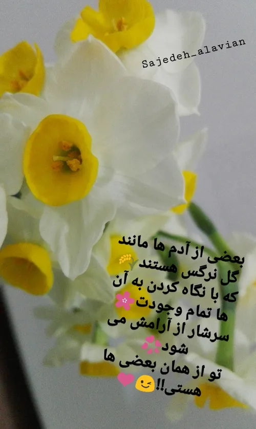 عاشقانه ها sajedeh.jon 28120116 - عکس ویسگون