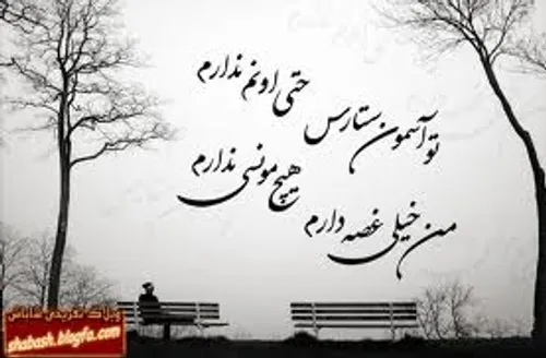 هیچ مونسی