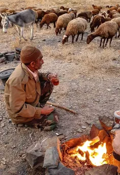 الان فکر کنم حالشو با هیچکسی عوض نمیکنه