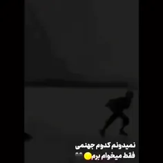 فقط میخوام برم